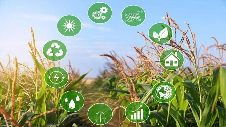 Agricultural Productivity and Sustainable Farming Techniques