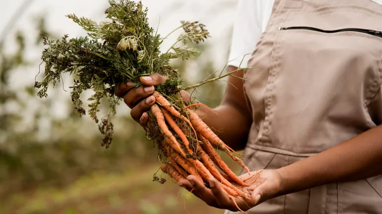 Training Course on Agri-SME Development and Market Linkages