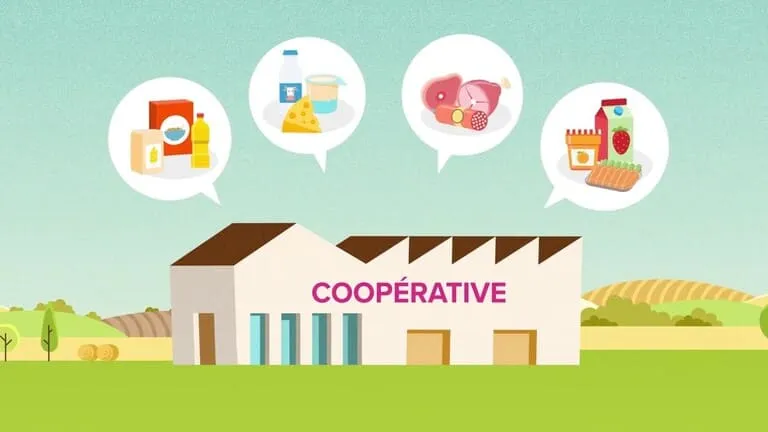 Training Course on Agricultural Cooperatives and Farmer Organizations Management