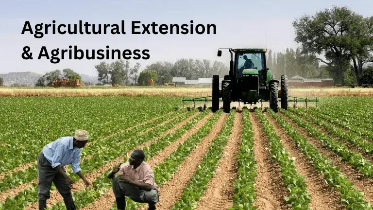 agribusiness course for extension professionals